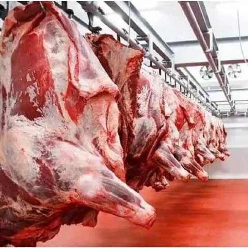 Cold Chain Processing