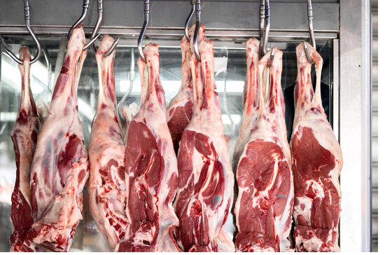 Cold Chain Processing