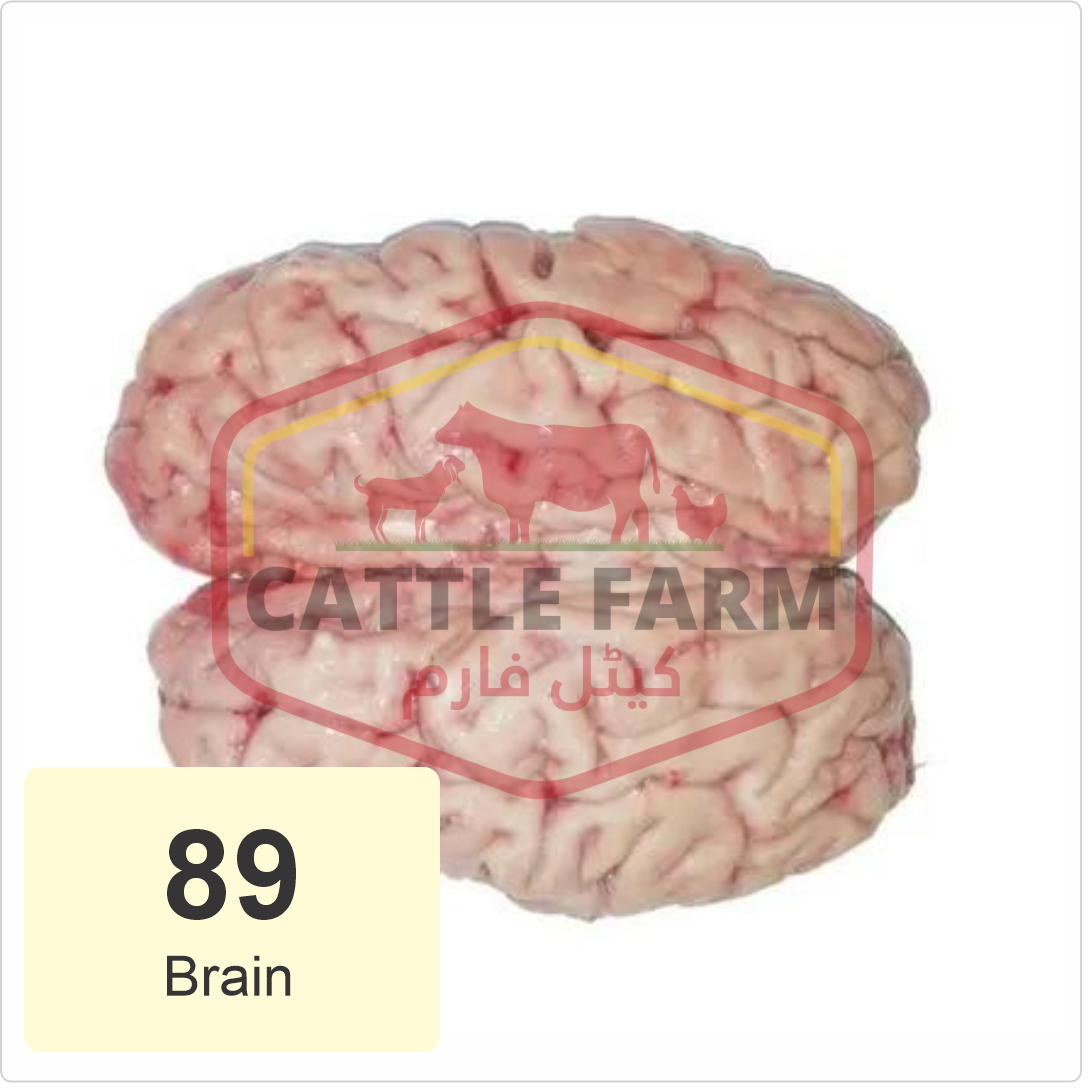 Brain Offal