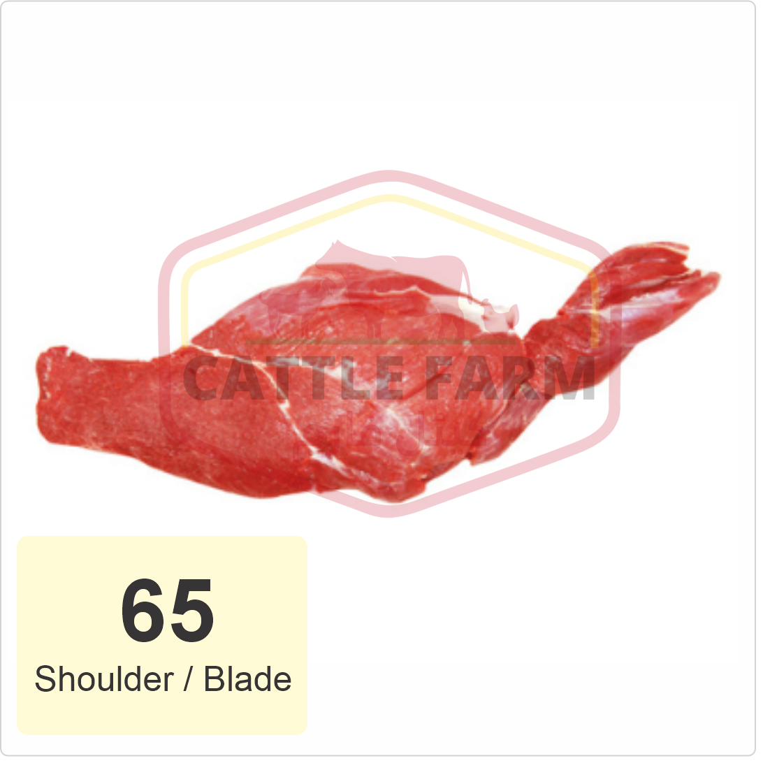 Shoulder Blade