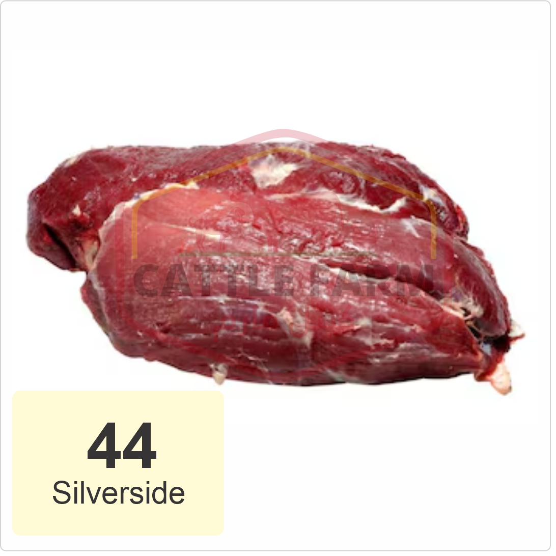Silverside