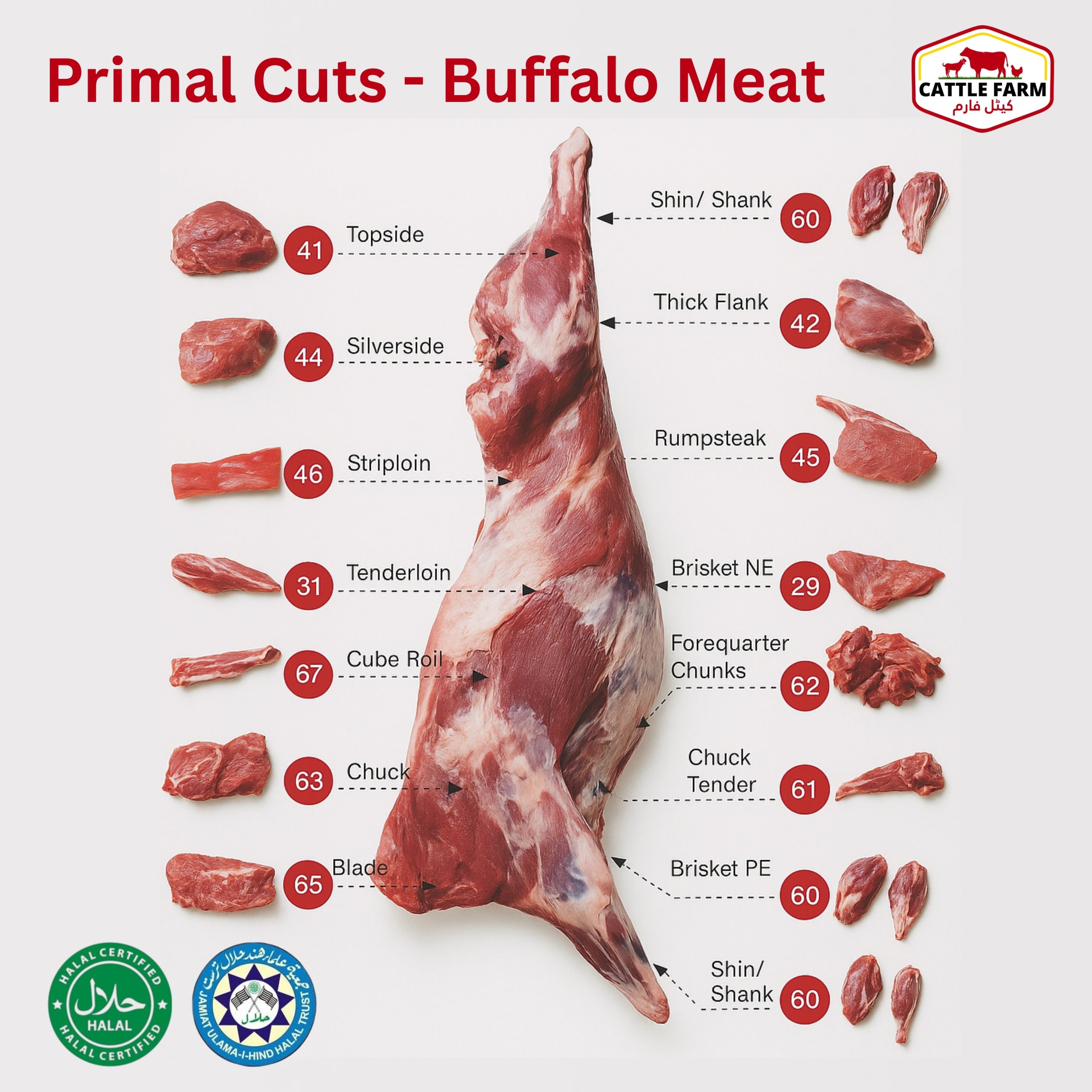 Primal Cuts Diagram — Buffalo Meat