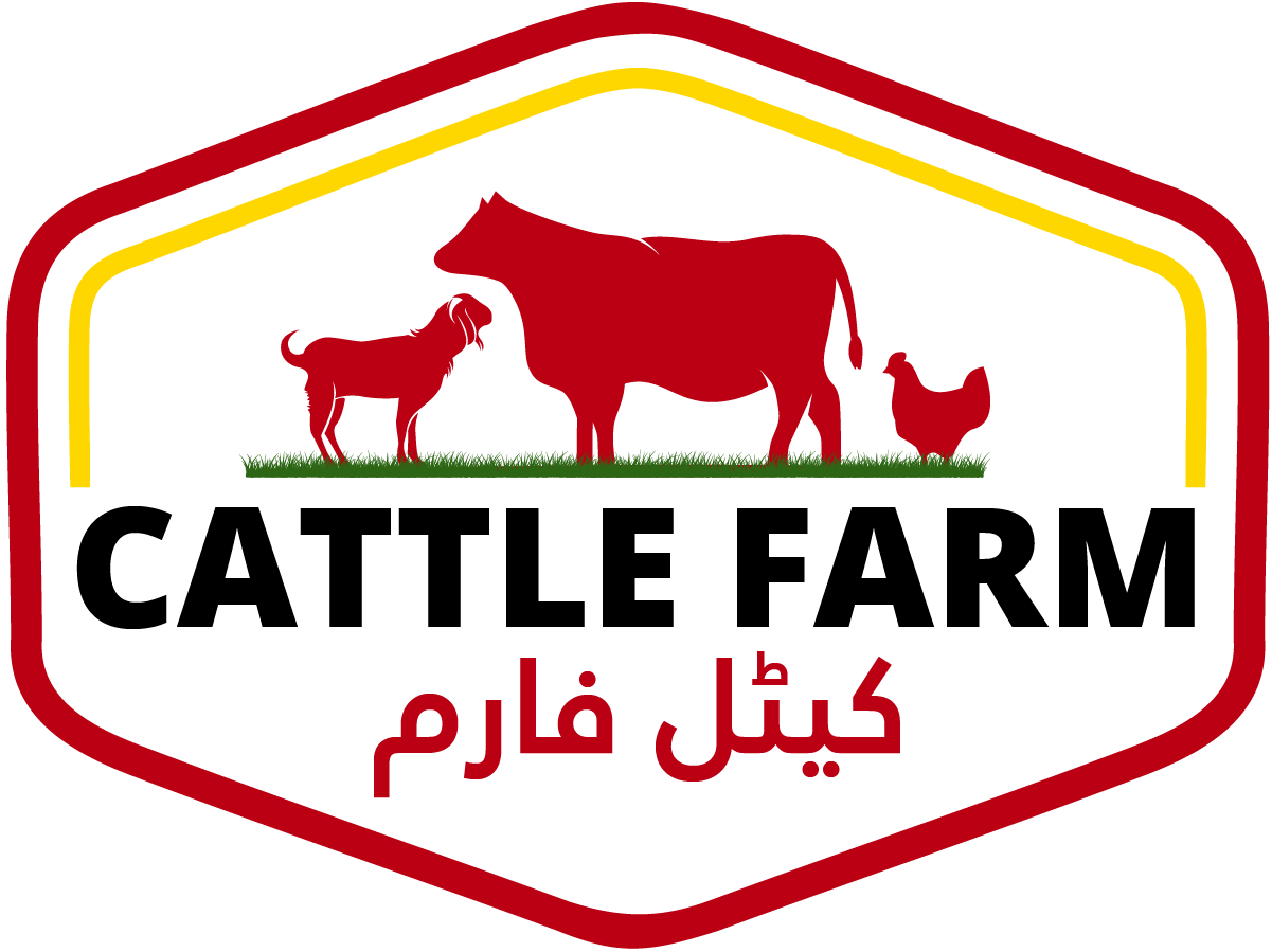 Cattle Farm
